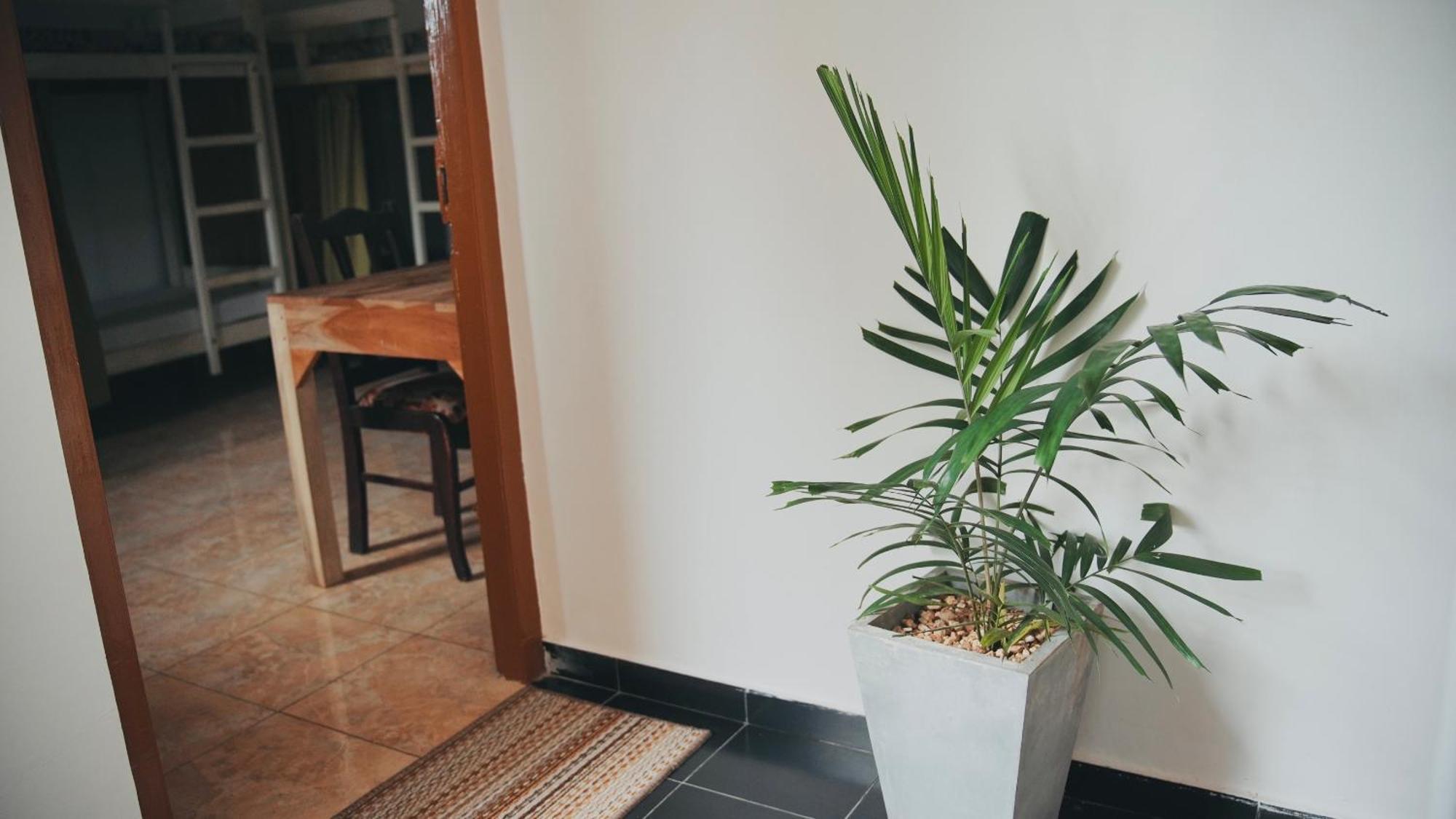 Dreamy Surf House Ξενοδοχείο Weligama Εξωτερικό φωτογραφία